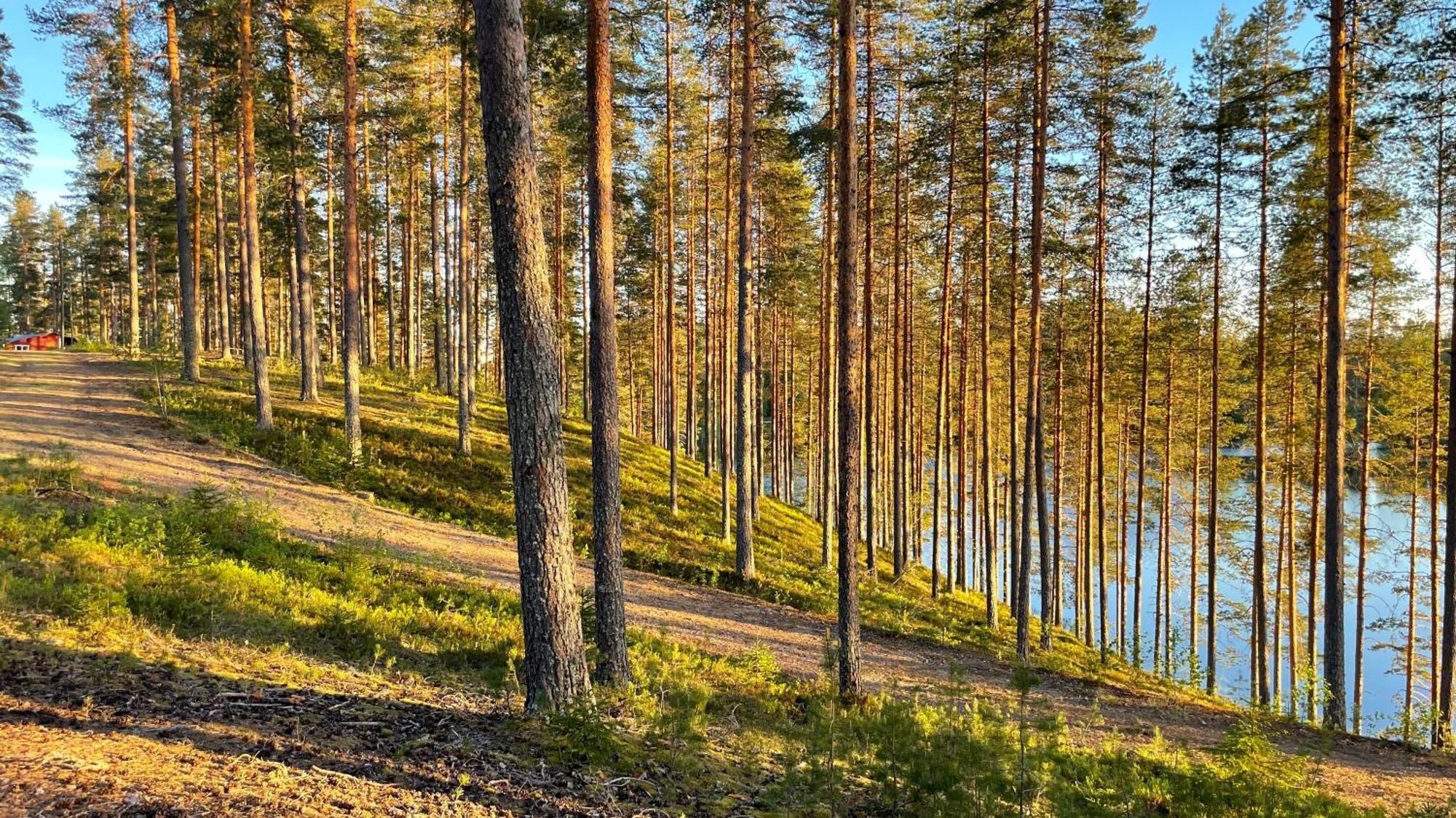 Ahvenlampi Camping Saarijarvi Exterior photo