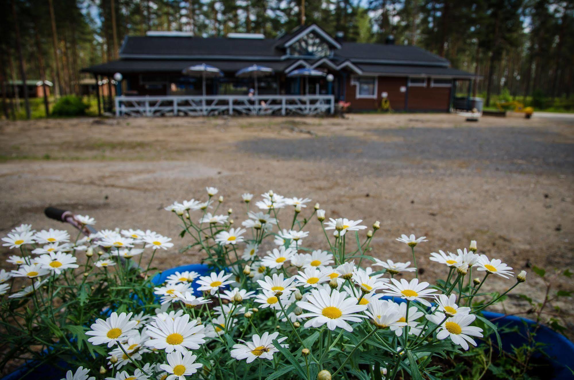 Ahvenlampi Camping Saarijarvi Exterior photo